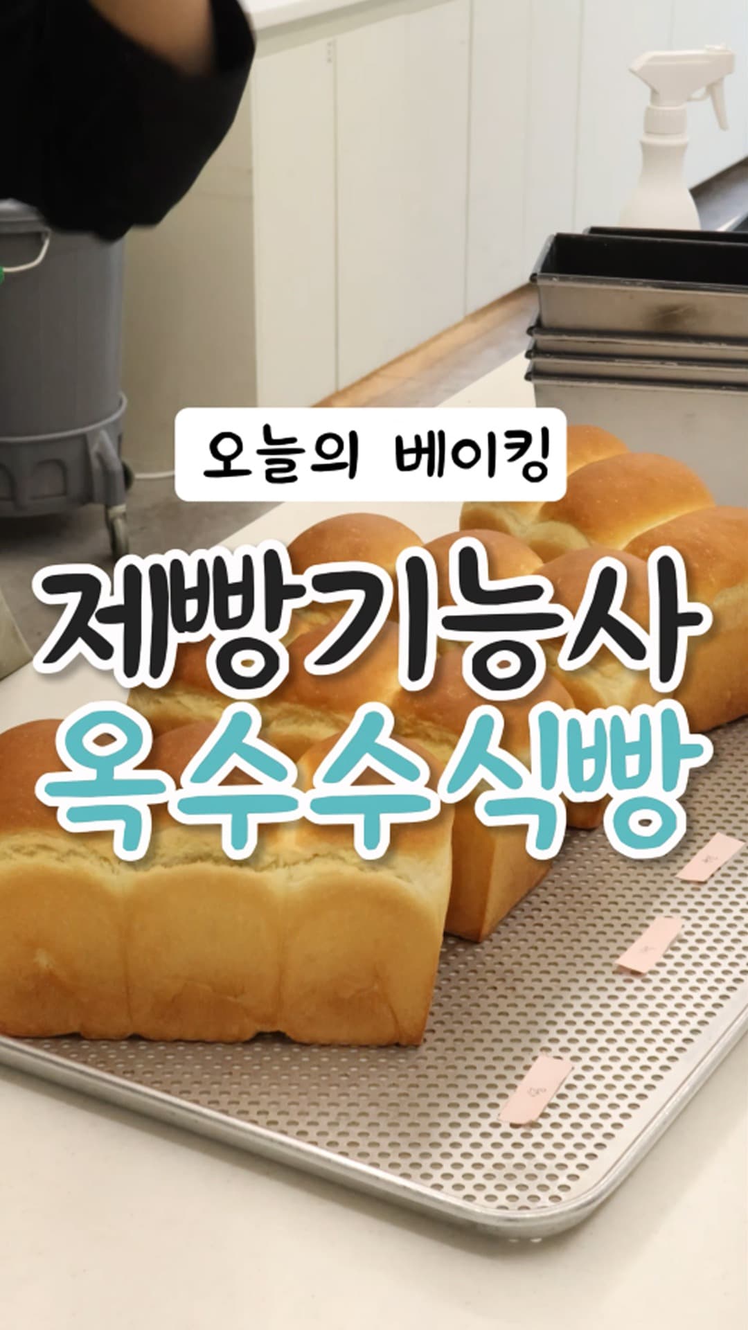 제빵기능사 옥수수식빵
